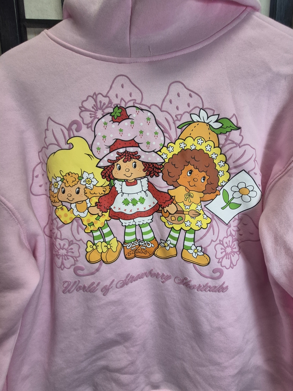 Strawberry Shortcake Womens Pink Hoodie - Cute Character Size LG 12-14